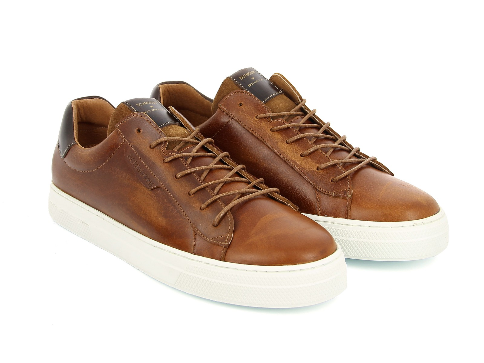SPARK CLAY - CICLON - OLD CAMEL
