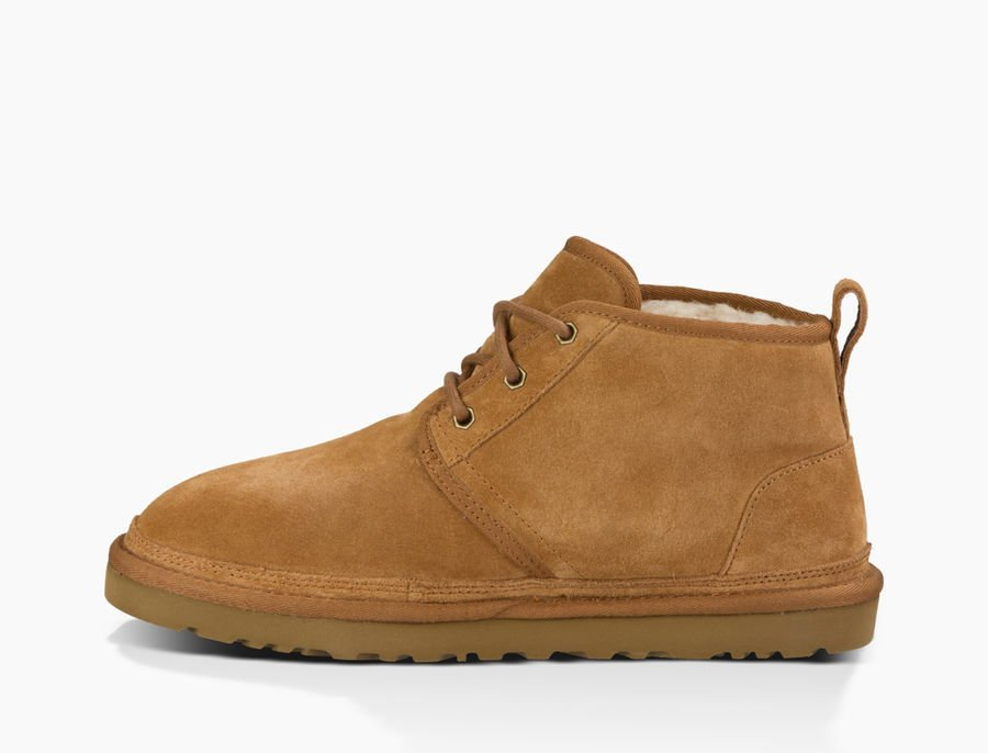 NEUMEL M CHESTNUT