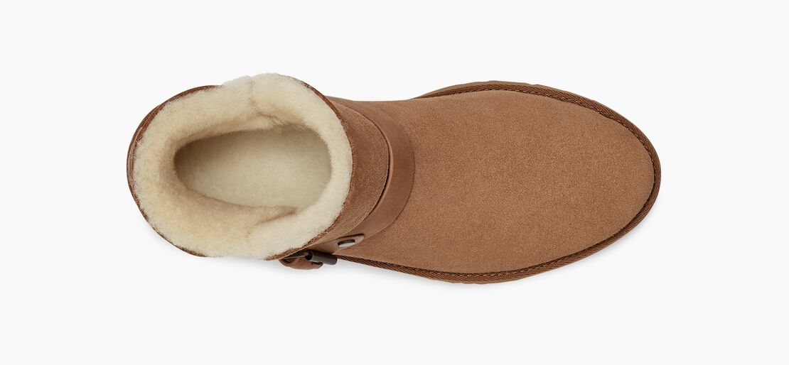 ROMELY SHORT BUCKLE CHESTNUT