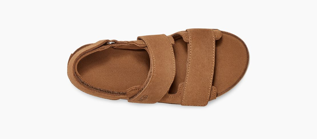GOLDENSTAR SLINGBACK CHESTNUT