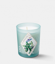 BOUGIES PARFUMÉES 190g - Menthe Poivrée (Menthe & Sauge)