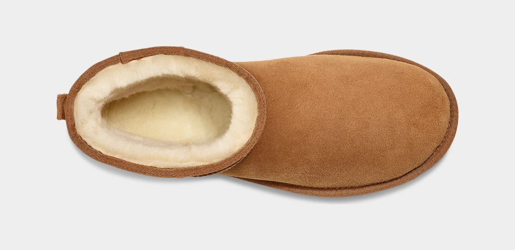 CLASSIC MINI CHESTNUT - HOMME