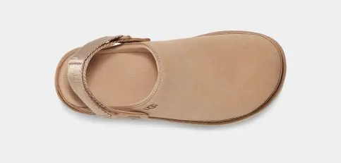 GOLDENSTAR CLOG DRIFTWOOD