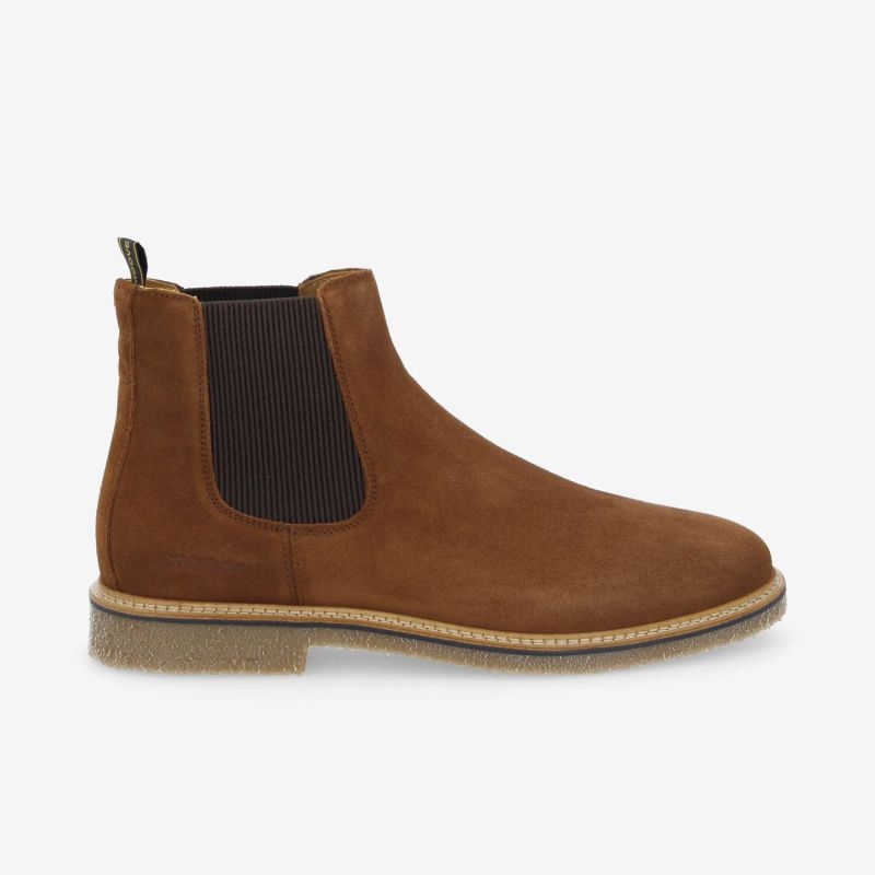 DUBLIN CHELSEA M SUEDE NOISETTE