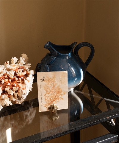 Porte-mémo Coquille Scarlett