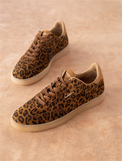 Bahia Wild Leo
