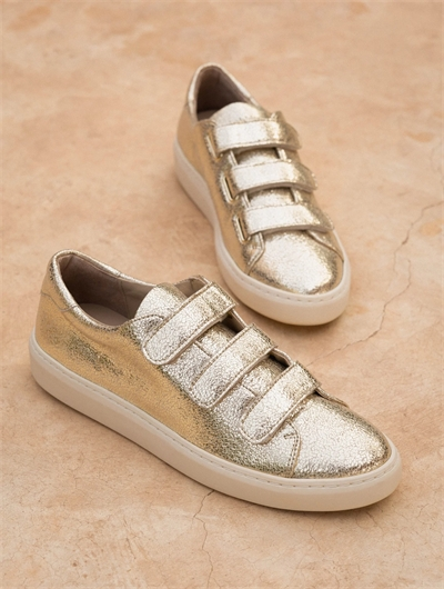 Willow Or Champagne