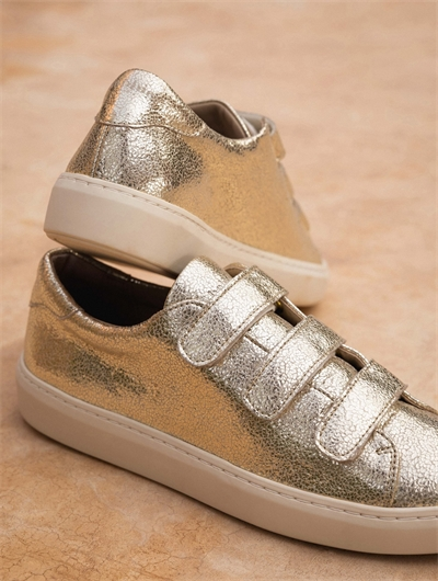 Willow Or Champagne