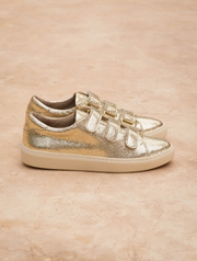 Willow Or Champagne