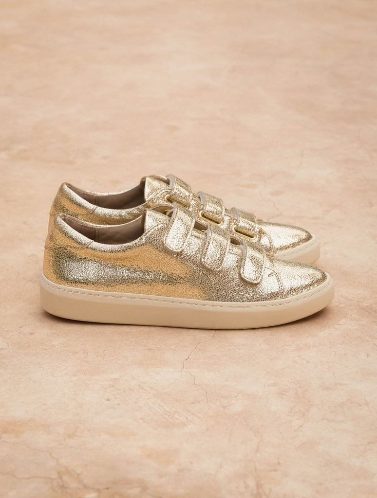 Willow Or Champagne