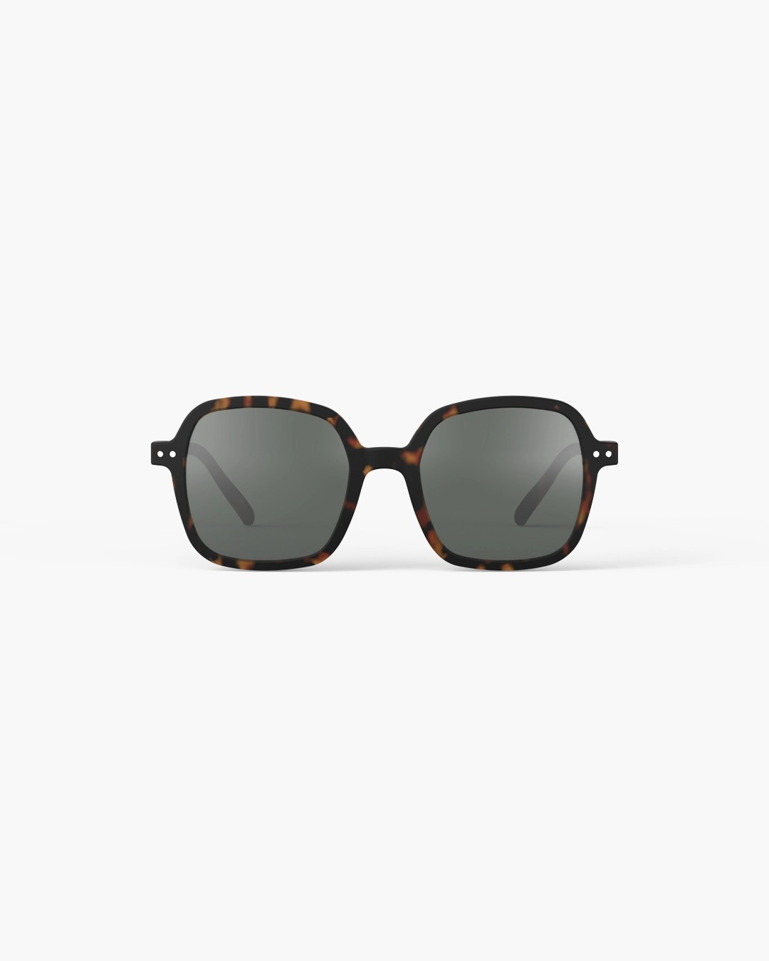 #OFFICE SUN Tortoise