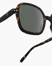 #OFFICE SUN Tortoise