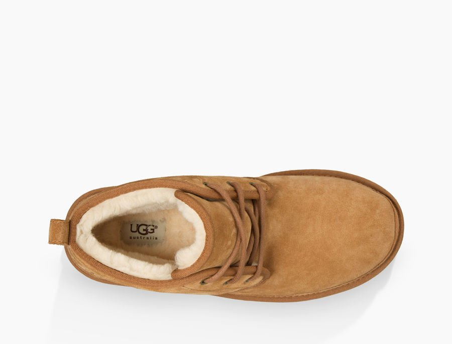 NEUMEL M CHESTNUT