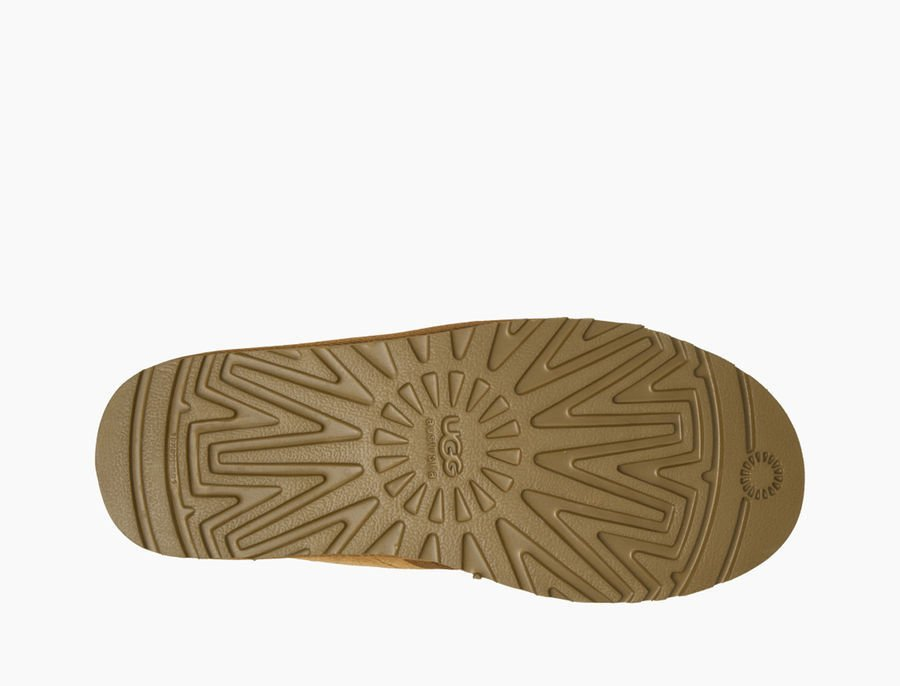 NEUMEL M CHESTNUT