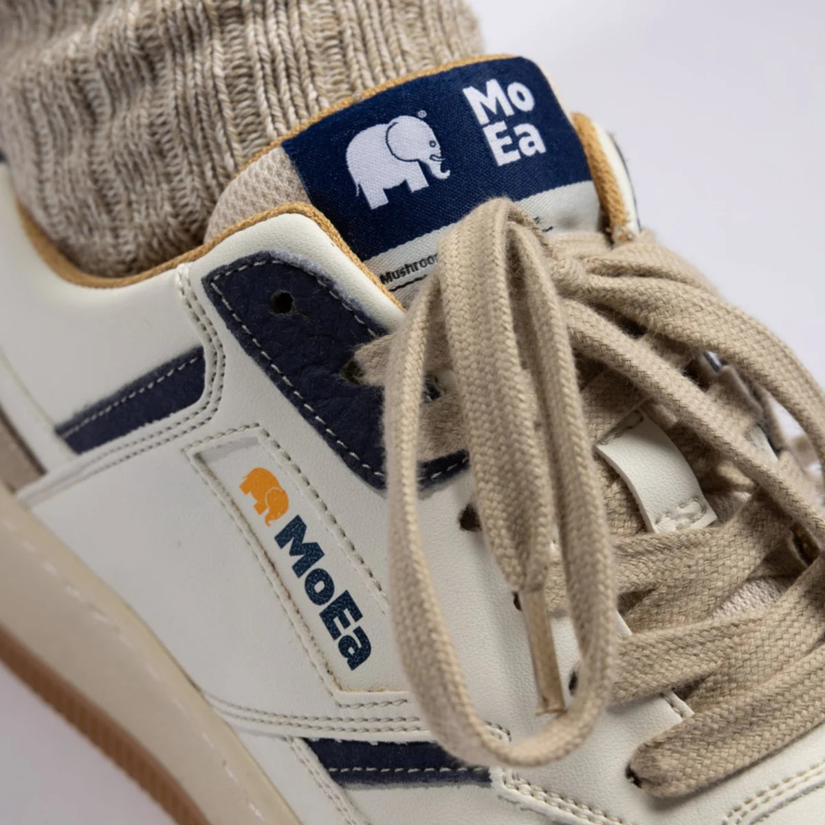 GEN1 - TRENDSPLANT x MOEA
