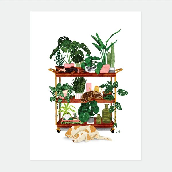 Affiche - Plant shelf