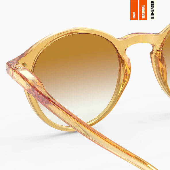 #D SUN Golden Canyon Polarized