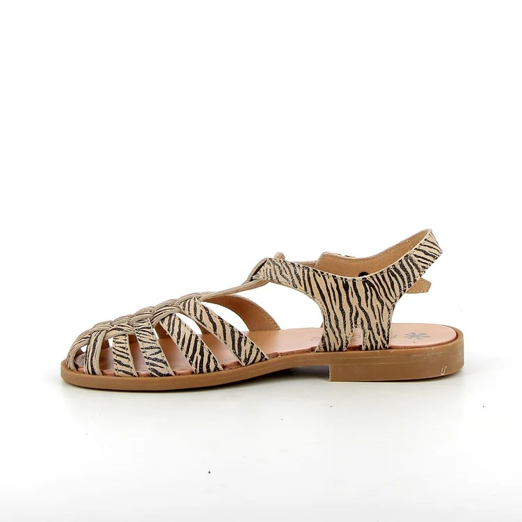 SUNVILLE - ZEBRE