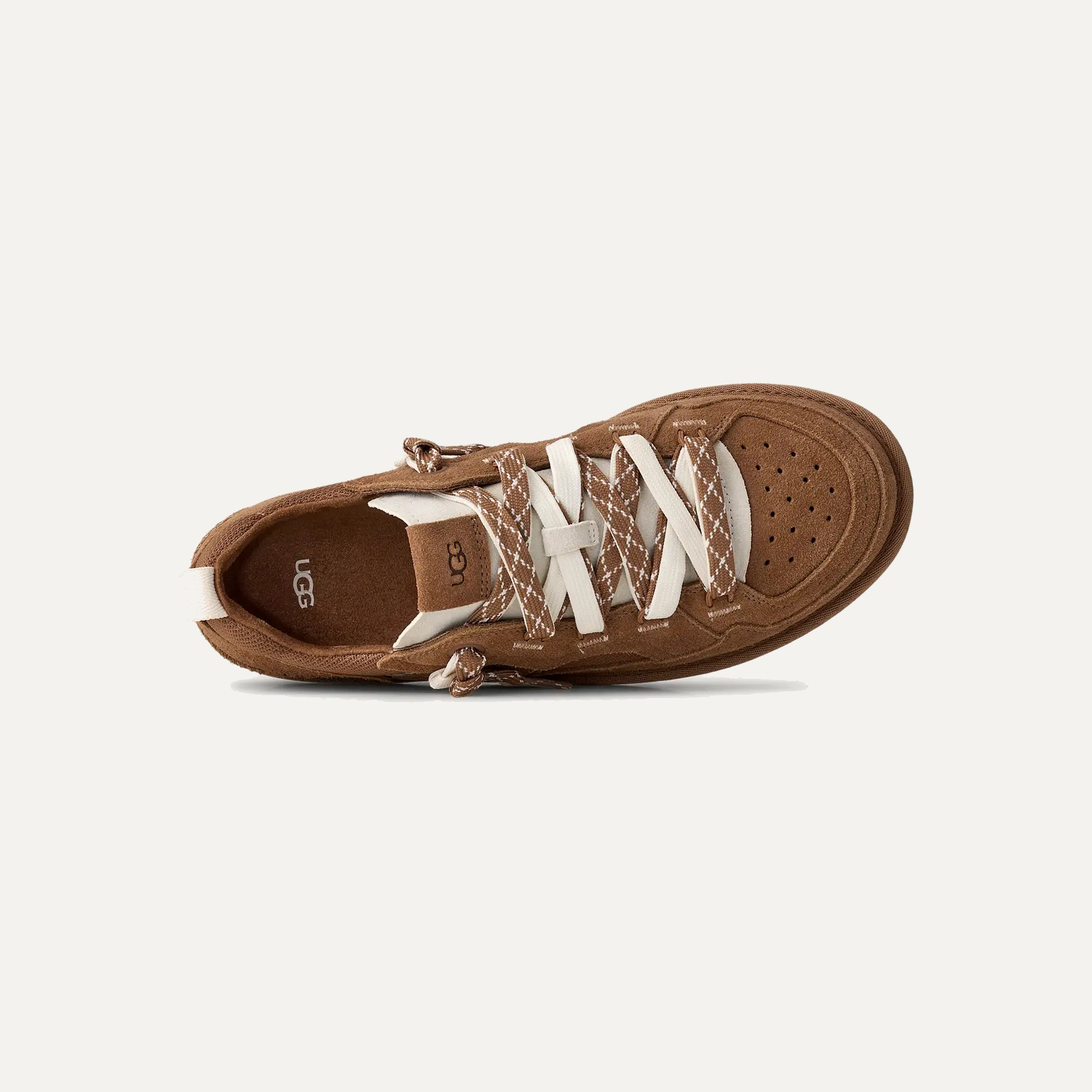 MINIMEL CHESTNUT - HOMME