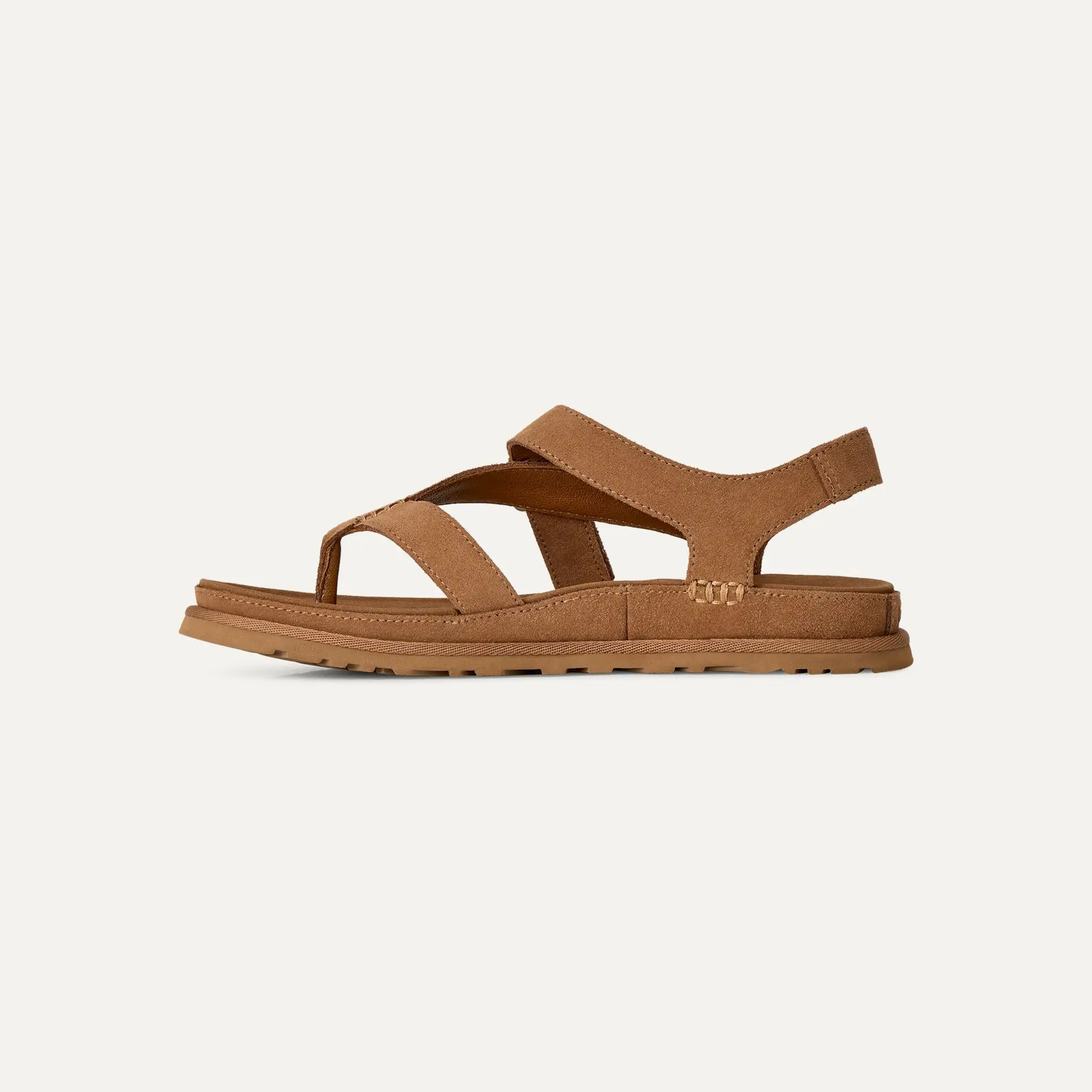 GOLDENGAZE TOE POST CHESTNUT