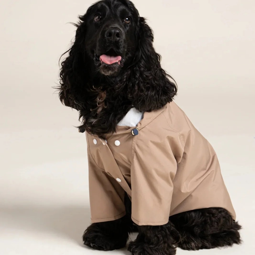 Boulogne - Imperméable pour chien - Sahara