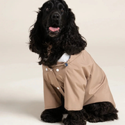 Boulogne - Imperméable pour chien - Sahara