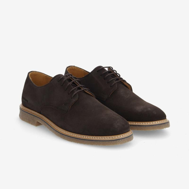 DUBLIN DERBY M EBONY