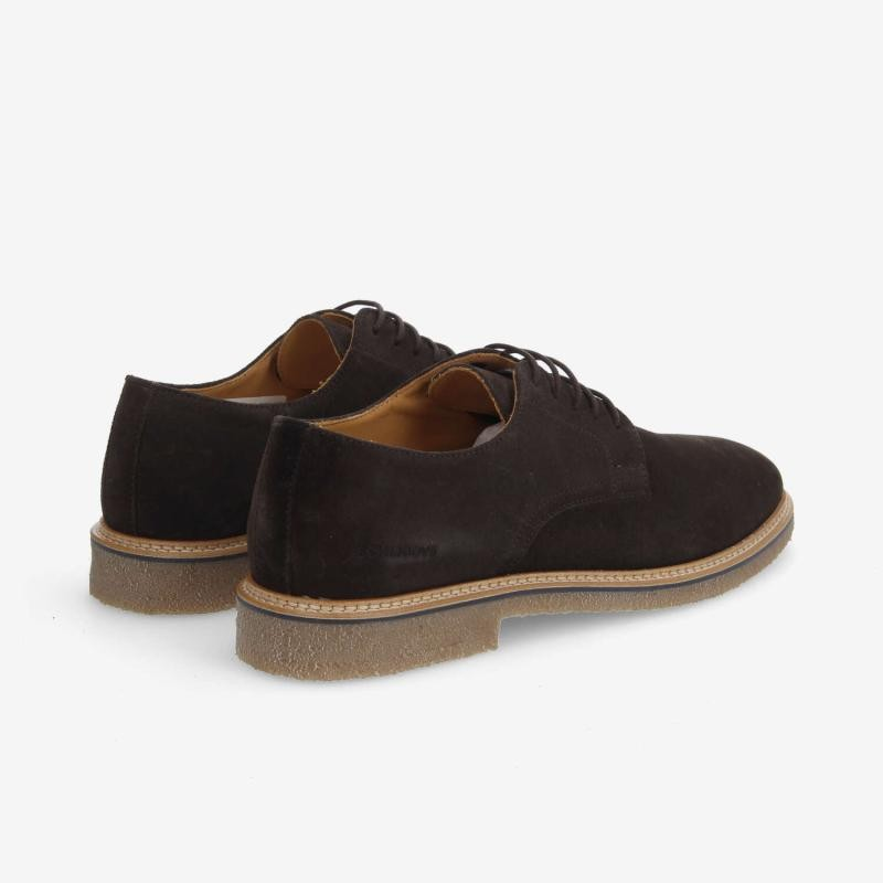 DUBLIN DERBY M EBONY