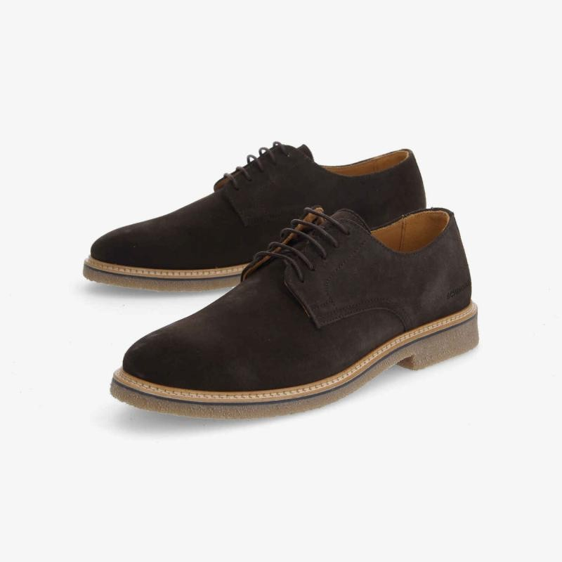 DUBLIN DERBY M EBONY