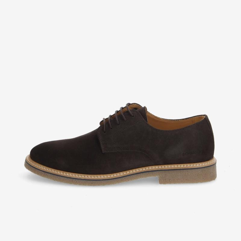 DUBLIN DERBY M EBONY